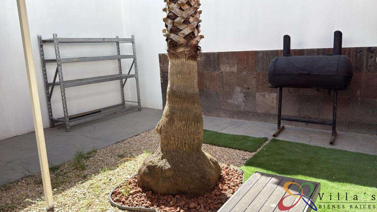 WhatsApp Image 2026-04-27 at 5.04.10 PM (8).jpg